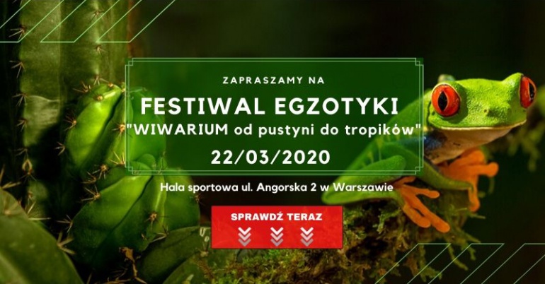 Festiwal Egzotyki "WIWARIUM od pustyni do tropików"