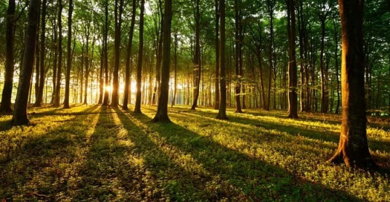 Kampinoski Park Narodowy