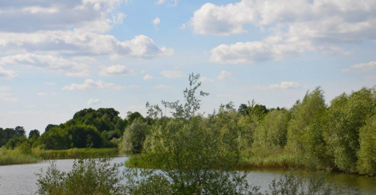 ul. Cisowa 15 05-825 Czarny Las