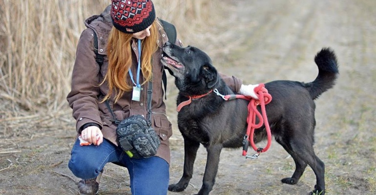 Schronisko Na Paluchu