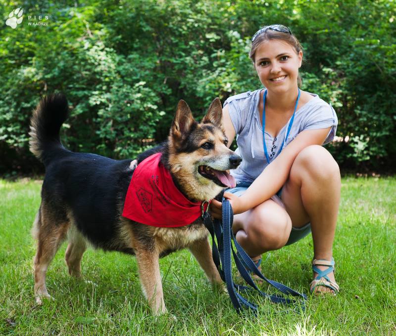 schronisko na paluchu