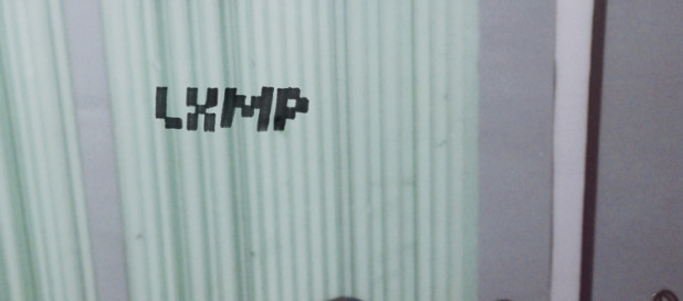 LXMP, żony w pracy, cafe kulturalna, warszawa, pałac kultury