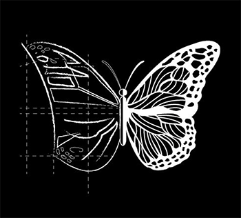 Polowanie na motyle IV Warszawa Teatr Ochoty