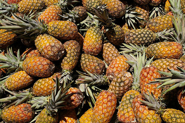 ananas, owoc, dieta