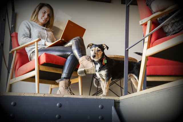 cafe labour, praca freelancer, warszawa