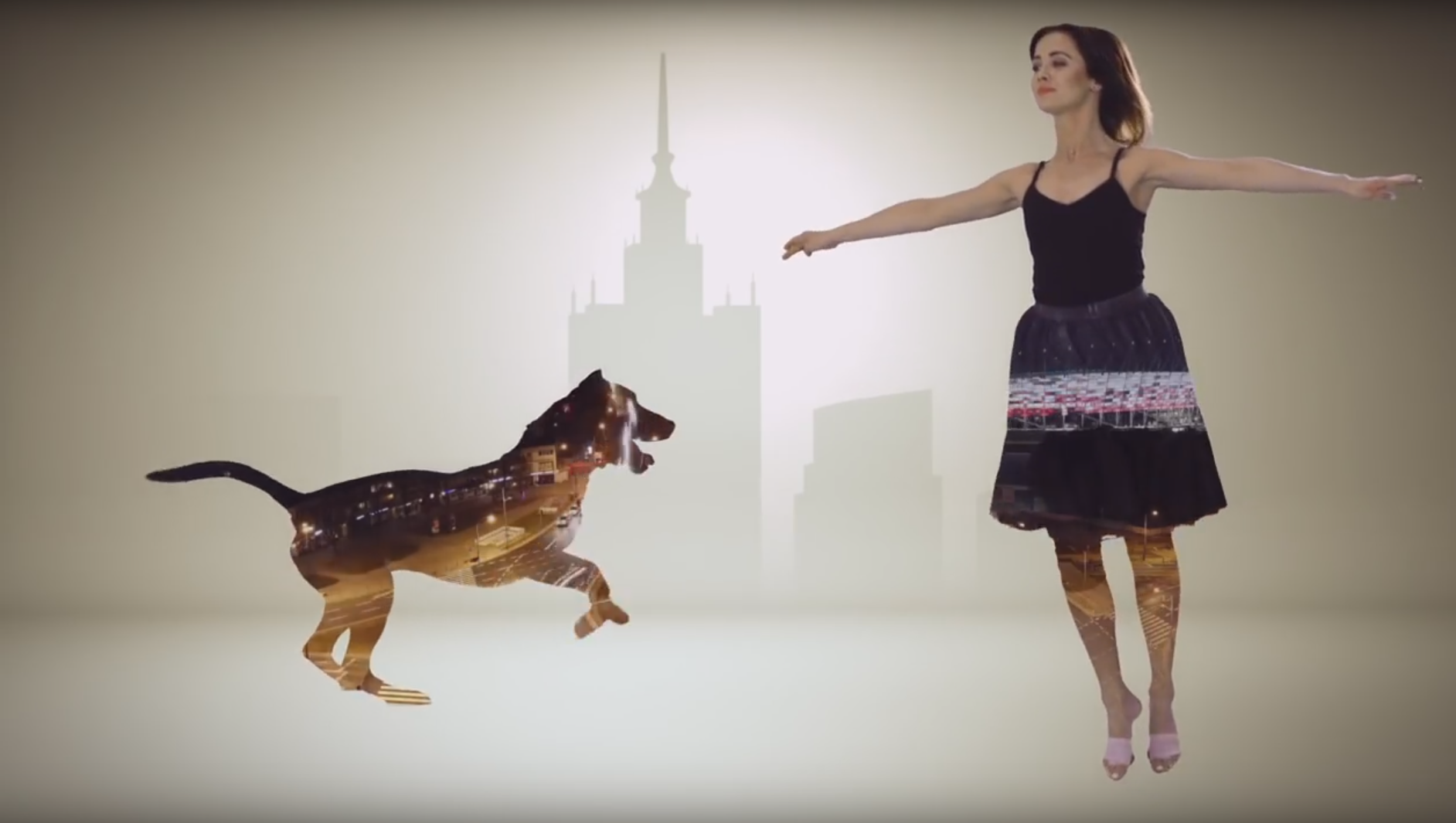 Dzien Zwierząt warszawa, paluch schronisko