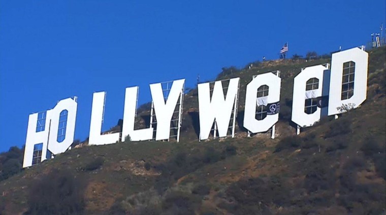 hollyweed los angeles