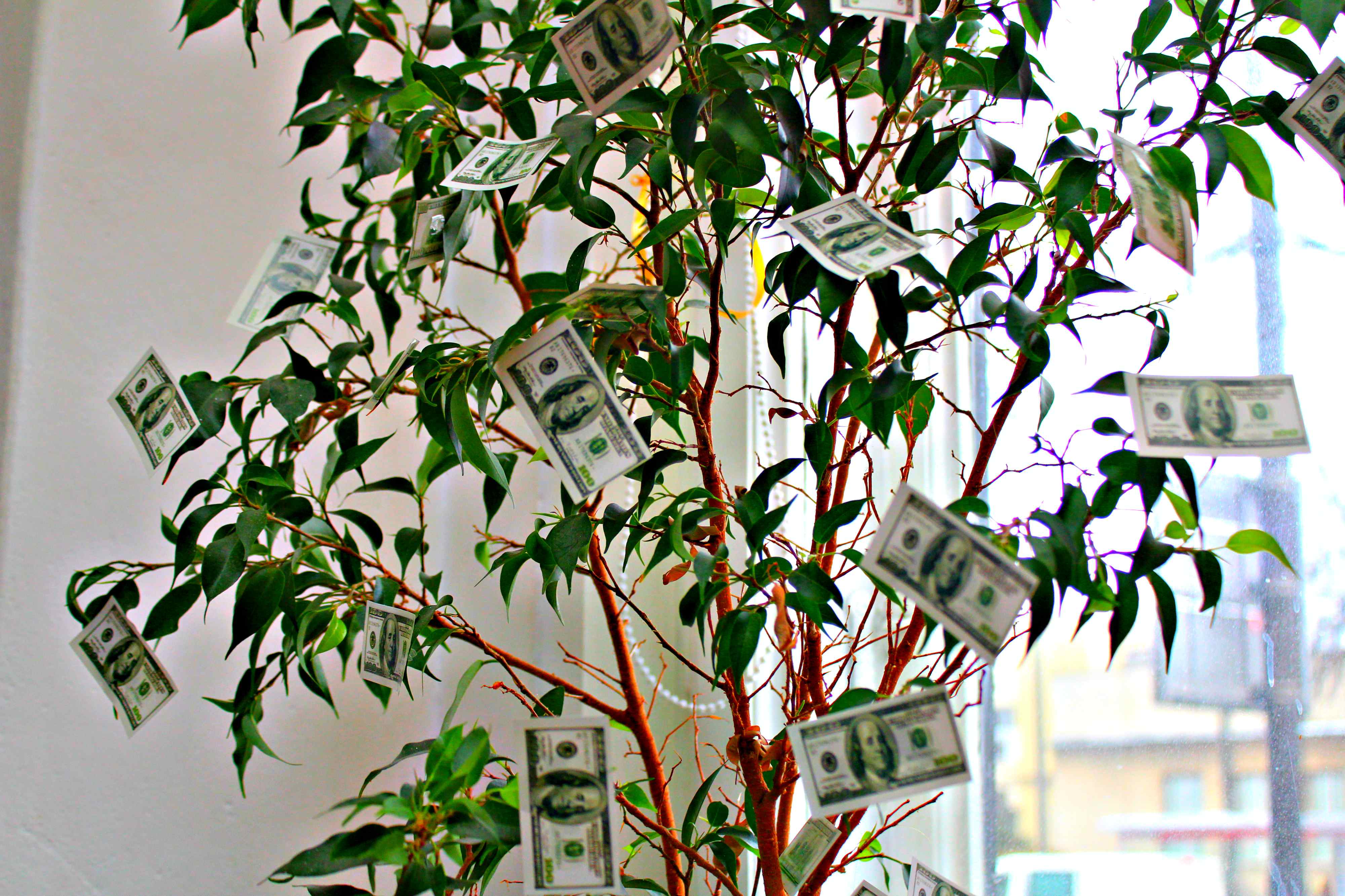 hajs, partybox, gadżety imprezowe, domówka, wygraj gadżety, mnm, dolar