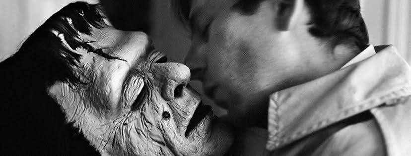 horowitz, warszawa, kwiecień 2016, 16 kwietnia, co robić, wydarzenia